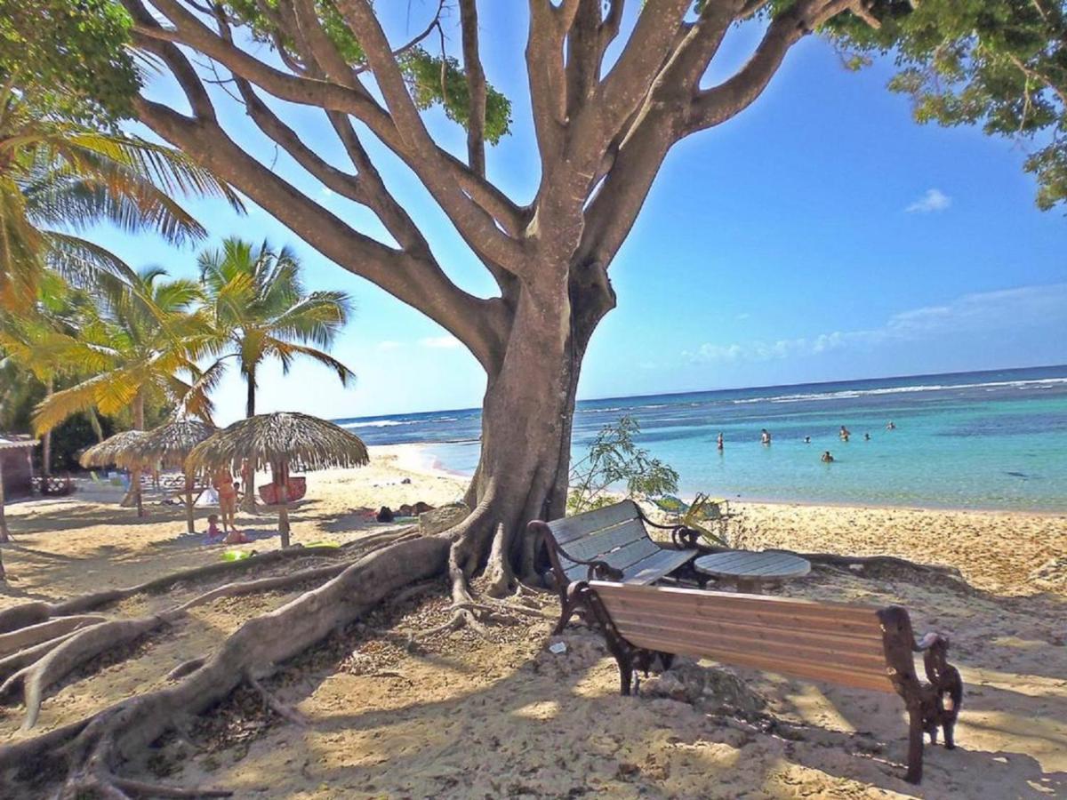 Villa Creole Domaine Prive De L'Anse Des Rochers Сен Франсоа Екстериор снимка